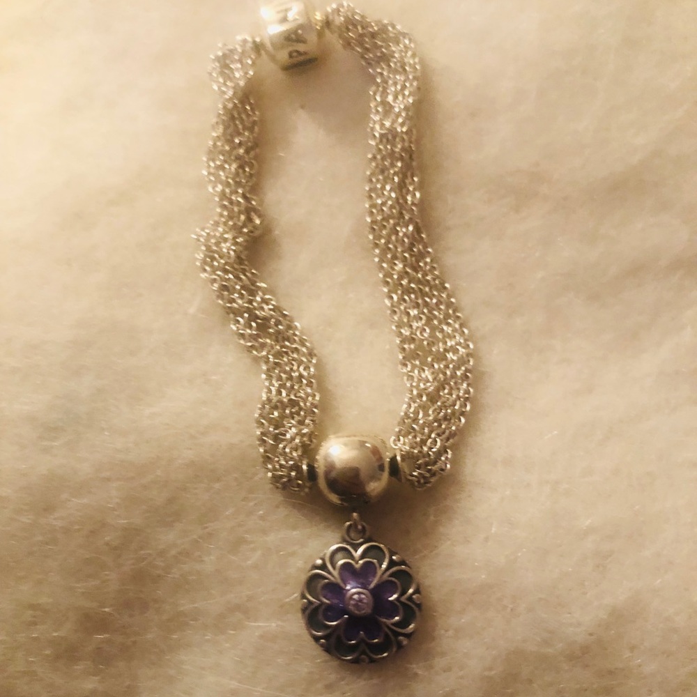 Pandora bracelet and charm clip